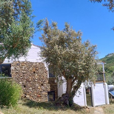 Alegria Rustica 2 Rustic Happiness Bed and Breakfast Envendos Eksteriør billede