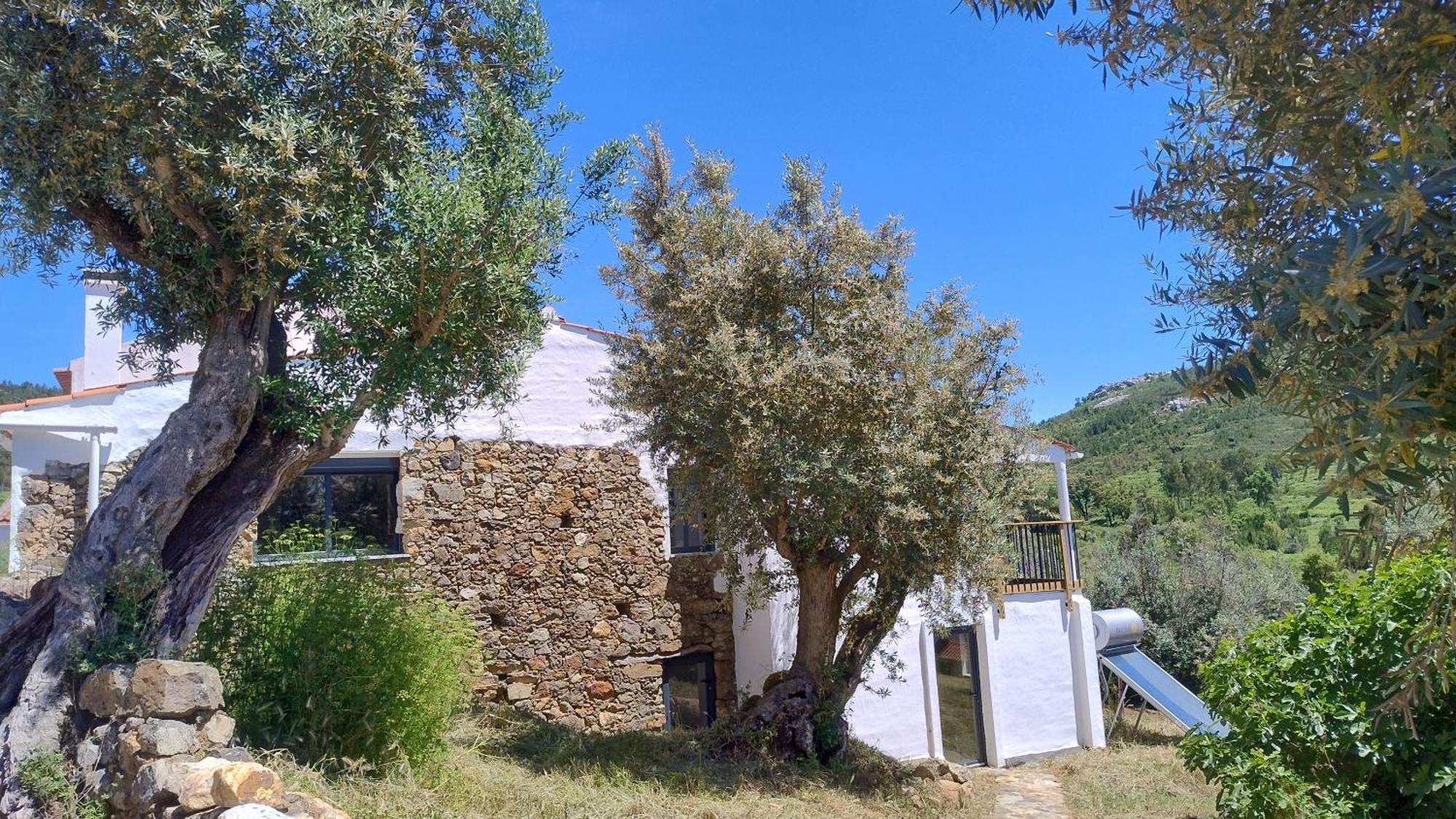 Alegria Rustica 2 Rustic Happiness Bed and Breakfast Envendos Eksteriør billede